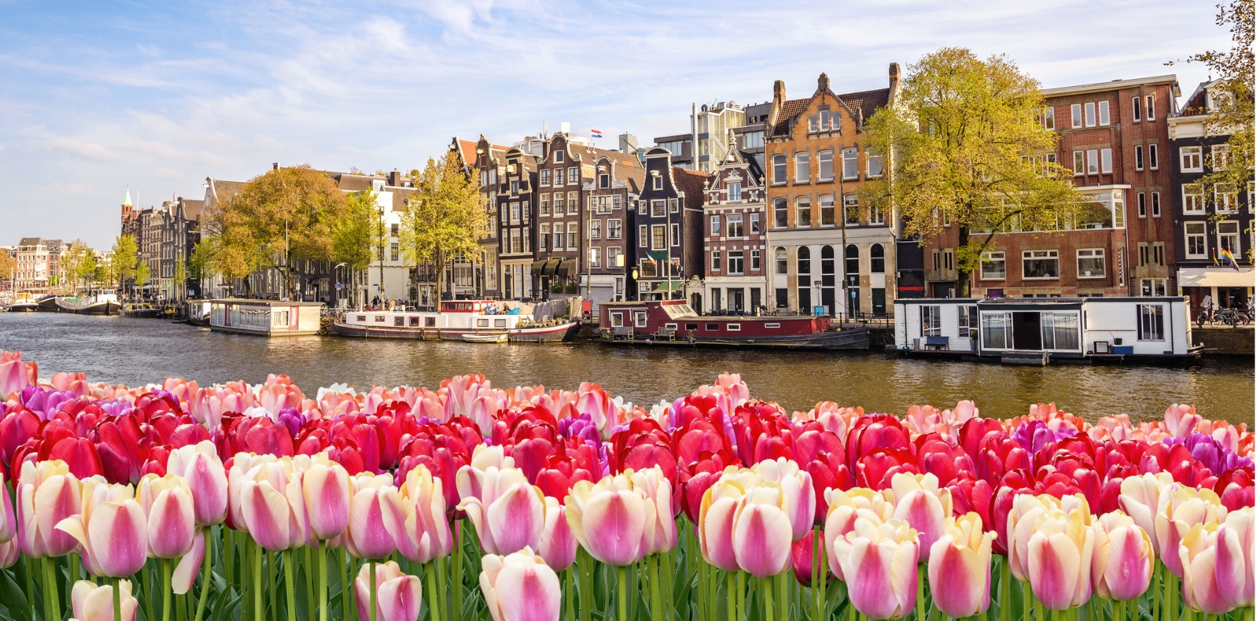 Aussies to fly the flag at EADV in Amsterdam Dermatology Republic